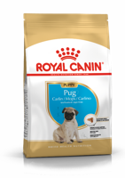 Royal Canin Pug (mopshond) voer voor puppy 1.5kg - thumbnail