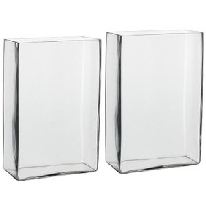 2x Hoge vaas/accubak rechthoekig transparant glas 20 x 10 x 30