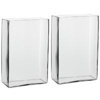 2x Hoge vaas/accubak rechthoekig transparant glas 20 x 10 x 30