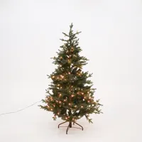 Kerstboom meran 264l d127h185 groen Kerstboom meran 264l d127h185 groen