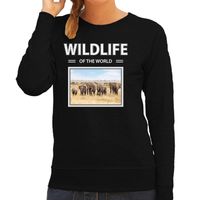 Olifant sweater / trui met dieren foto wildlife of the world zwart voor dames