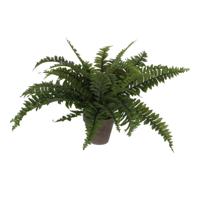 Mica Decorations Kunstplant - varen - groen - in pot - 42 cm   - - thumbnail