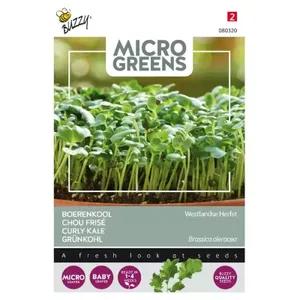 Microgreens, Boerenkool Westlandse Herfst