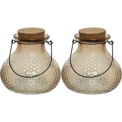 2x wespenvanger/wespenval met hengsel - glas - lichtbruin - D14 x H13 cm