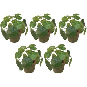 Kunstplant pilea/pannekoekplant - 5x - mini - groen - in pot - 13 cm