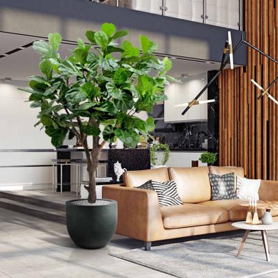 Lyrata Giant deluxe kunstboom 260cm