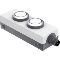 RAFI 1.22.392.392/2200 LDT091 Verlichte druktoets 24 V 0.5 A Moment (l x b x h) 123.2 x 40 x 35.6 mm 1 stuk(s)