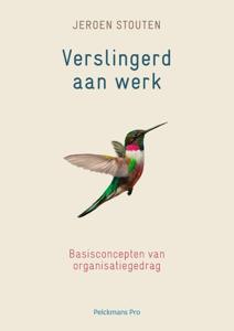 Verslingerd aan werk (Paperback)