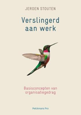 Verslingerd aan werk (Paperback)