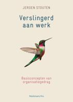 Verslingerd aan werk (Paperback)