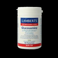 Lamberts Glucosamine & phytodroitine complex 120 Tabletten
