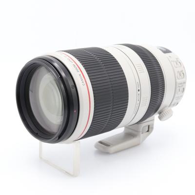 Canon EF 100-400mm f/4.5-5.6 L IS USM II (draaizoom) occasion