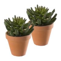 Kunstplant Sedum Rupestre - 2x - groen - in terracotta pot - 14 cm