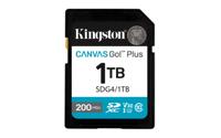 Kingston Canvas Go Plus 1TB SD