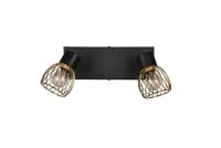 Trio PlafondlampArdon design 2-lichts - R81382080