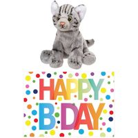Cadeau setje pluche grijze kat/poes knuffel 12 cm met Happy Birthday wenskaart   - - thumbnail