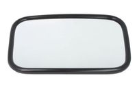Spiegelglas, buitenspiegel 6102029929925P