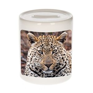 Dieren foto spaarpot jaguar 9 cm - jaguars spaarpotten jongens en meisjes