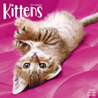 Kalender 2025 Kittens