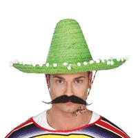 Mexicaanse Sombrero hoed voor heren - carnaval/verkleed accessoires - groen - met ornamenten - thumbnail