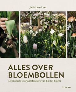 Alles over bloembollen (Hardback)