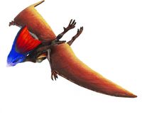 Safari speeldier tapejara junior 11 x 7,5 cm rood/blauw - thumbnail