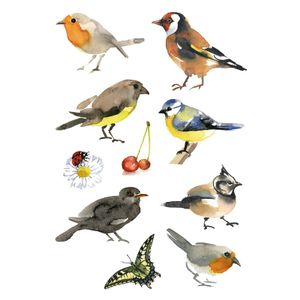 30x Vogels dieren stickers