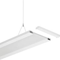 Trilux 7018800 Eindkappen (l x b x h) 59 x 240 x 20 mm 1 stuk(s)