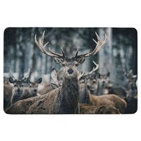 Deurmat winter hert