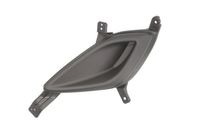 Ventilatiegrille, bumper 5513003171921P