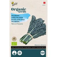 Buzzy - Organic Palmkool Nero di Toscana F1 (BIO) - thumbnail