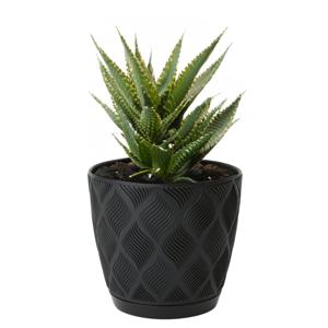 Form Plastic Plantenpot/bloempot New Age - kunststof - zwart - D13 x H12 cm