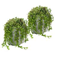 Kunstplant Senecio/erwtenplant - 2x - groen - in pot - 27 cm - hangplant - thumbnail