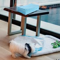 Trainingsmat voor Honden Lekvrij 5-Laags Design Puppy-Onderlegger Hygiënische Onderleggers Wegwerppads PIPI-Pads (300 Stuks 60 x 40 cm) - thumbnail