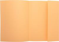 Exacompta dossiermap Super 210, pak van 50 stuks, gems