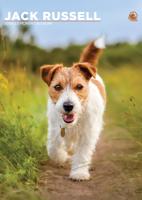 Jack Russell Terrier A3 Kalender 2026 Jack Russell Terrier A3 Kalender 2026