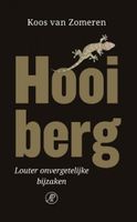 Koos van Zomeren Hooiberg - thumbnail