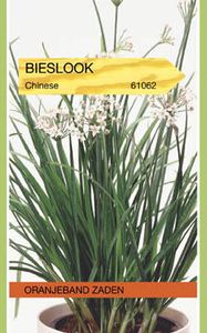 Bieslook