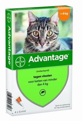 Elanco Bayer advantage kat
