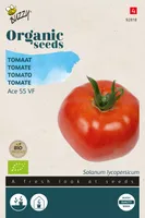 Biologische Tomaten Ace 55 VF