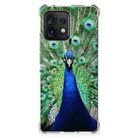 Motorola Edge 40 Pro Case Anti-shock Pauw Motorola Edge 40 Pro Case Anti-shock Pauw