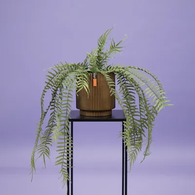 Monilophyta zijde L8B8H60CM groen