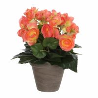Zalmroze Begonia kunstplant 30 cm in grijze pot   -