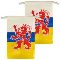 Limburg provincie slingers - 2x - 10 meter - Limburg versiering / vlaggenlijn - kunststof