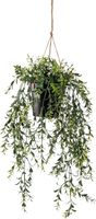 Hangplant met pot 2 - Driesprong Collection