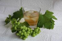 Workshop Ice Tea en Mocktails Maken