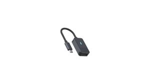Rapoo USB-C Adapter, USB-C naar DisplayPort, grijs Desktop accessoire Zwart