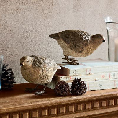 Decoratieve kwartel set van 2 Punata