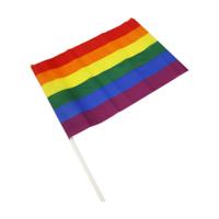 Vlag Divertysex 30 x 20 cm Multicolour 12 Onderdelen