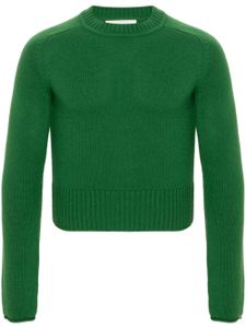 extreme cashmere No 152 cashmere jumper - Vert